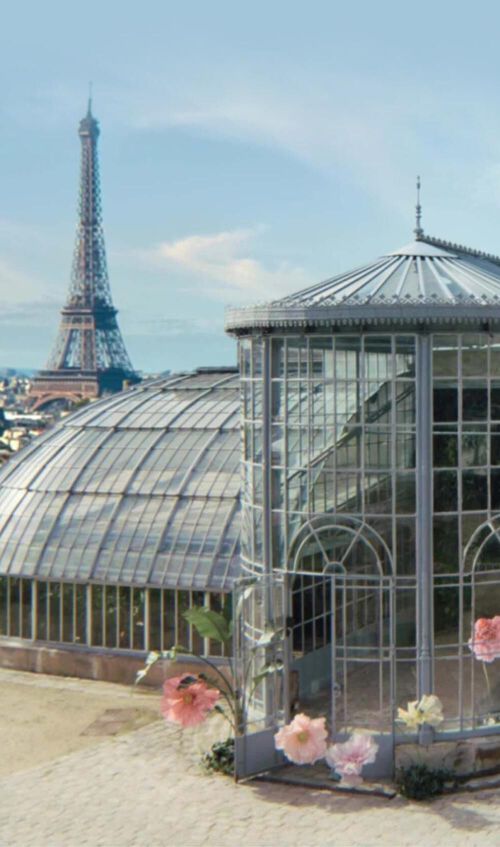 View of a greenhouse with roses around with the Eiffel Tower in the background