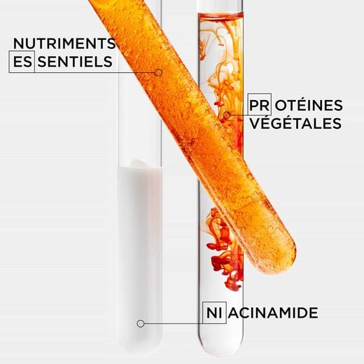 Nutritive main ingredients