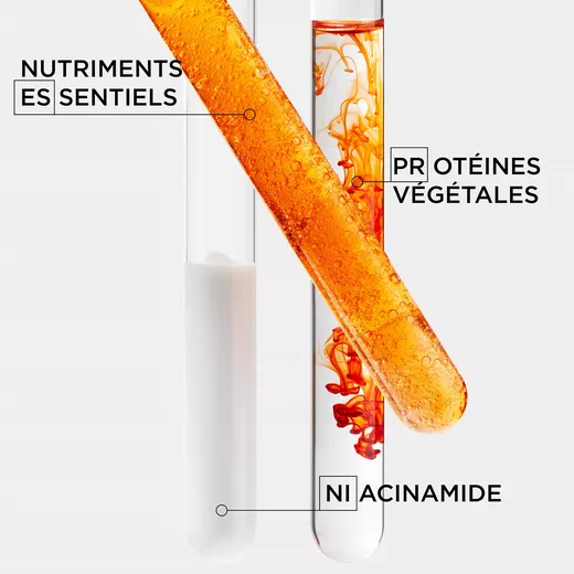 Nutritive main ingredients