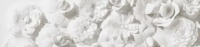 Close-up on a lace detail