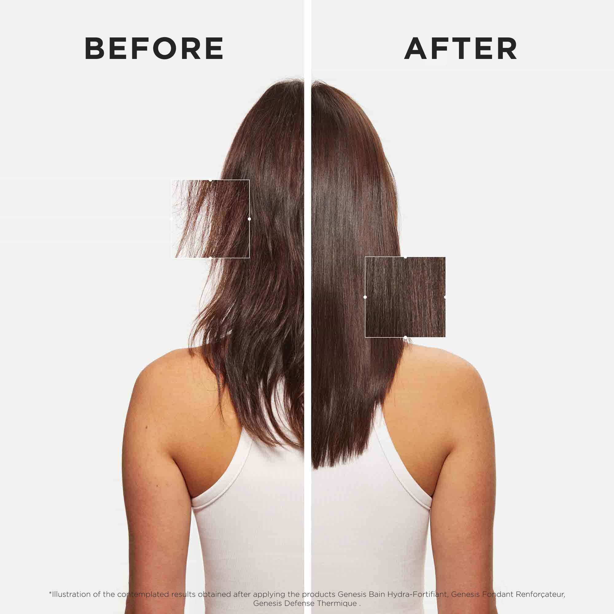 Genesis Fondant Renforcateur