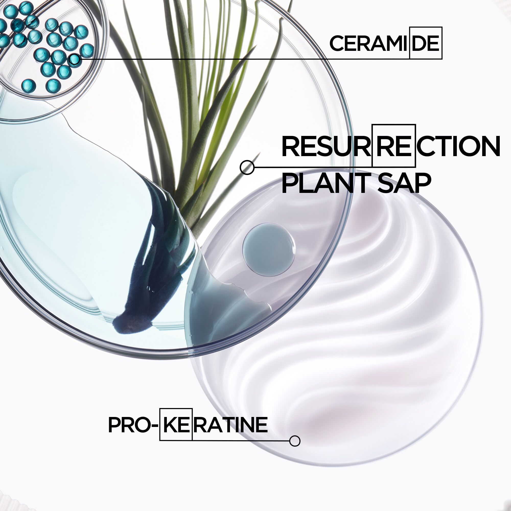 Kerastase Ciment Thermique Resistance Thermal Protection for brittle hair key ingredients