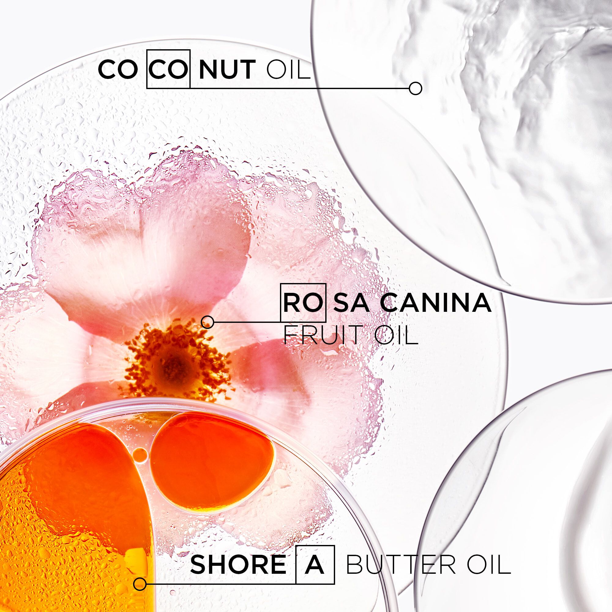 Kerastase Huile Oleo-Relax Discipline Hair oil for frizzy or unruly hair key ingredients