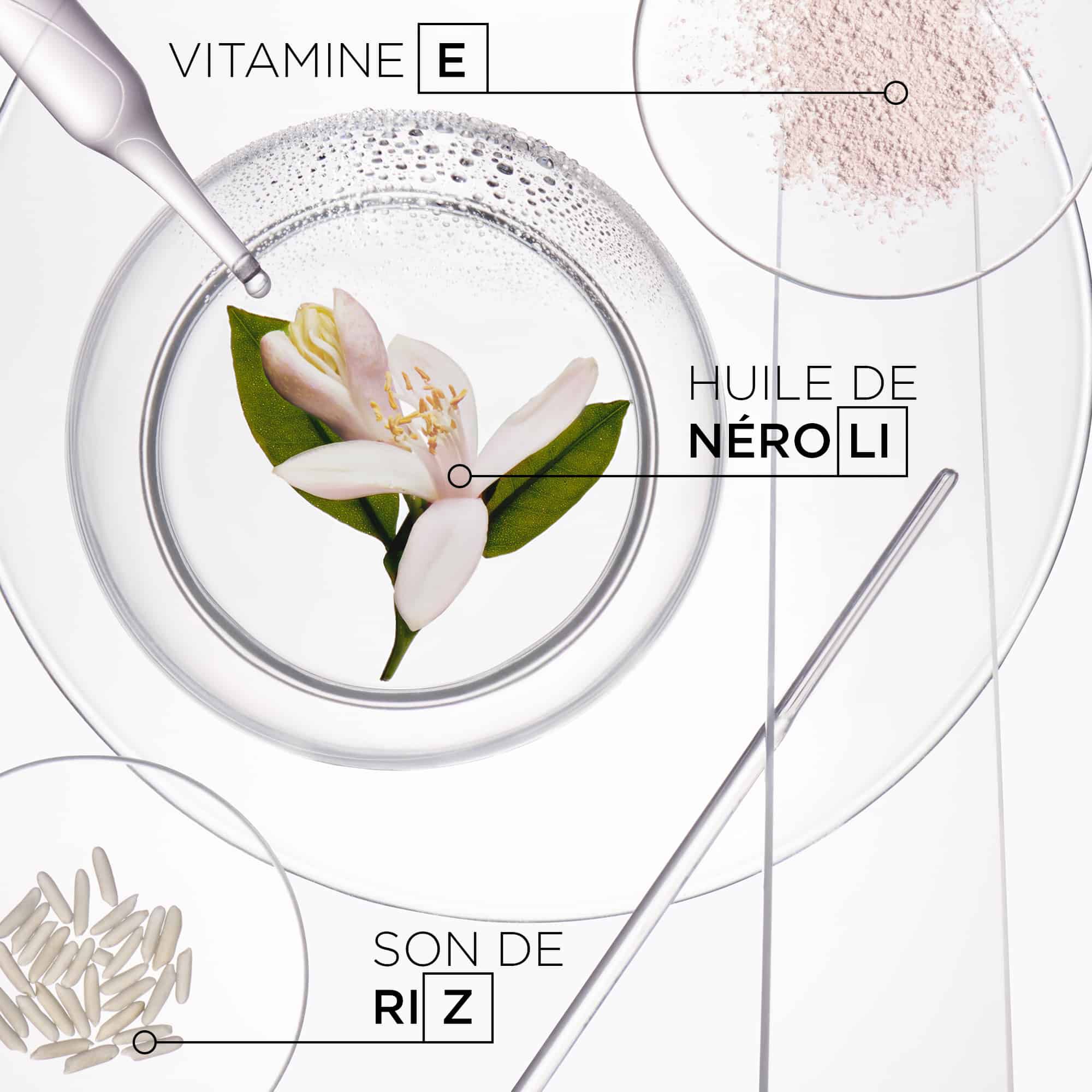 Kerastase Fresh Affair Fresh Affair Shampoing sec pour tous types de cheveux ingredients cles