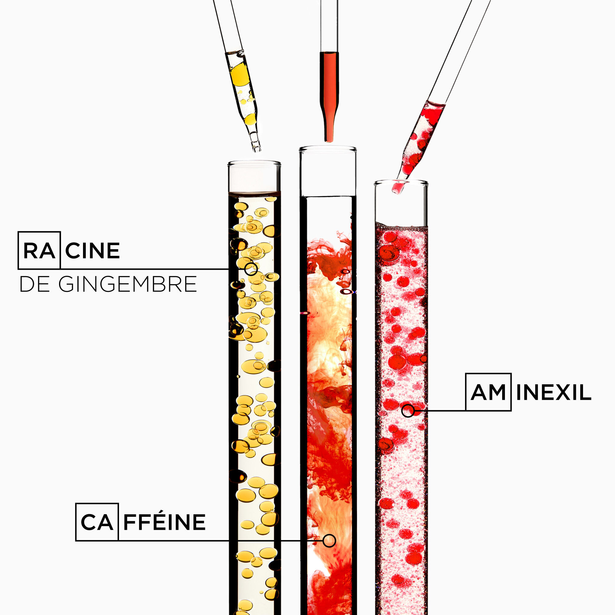 Genesis Fondant Renforcateur
