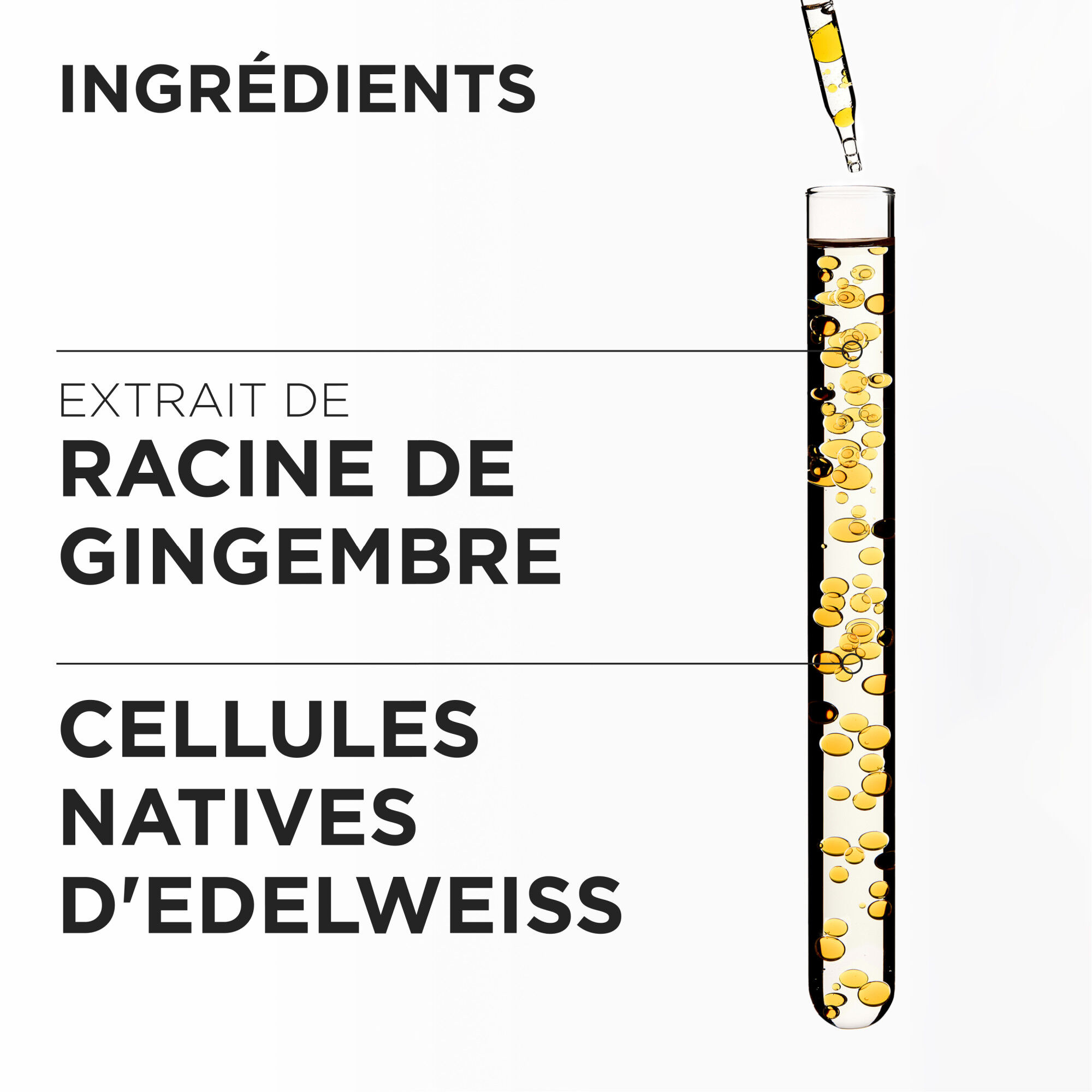 Genesis Fondant Renforcateur