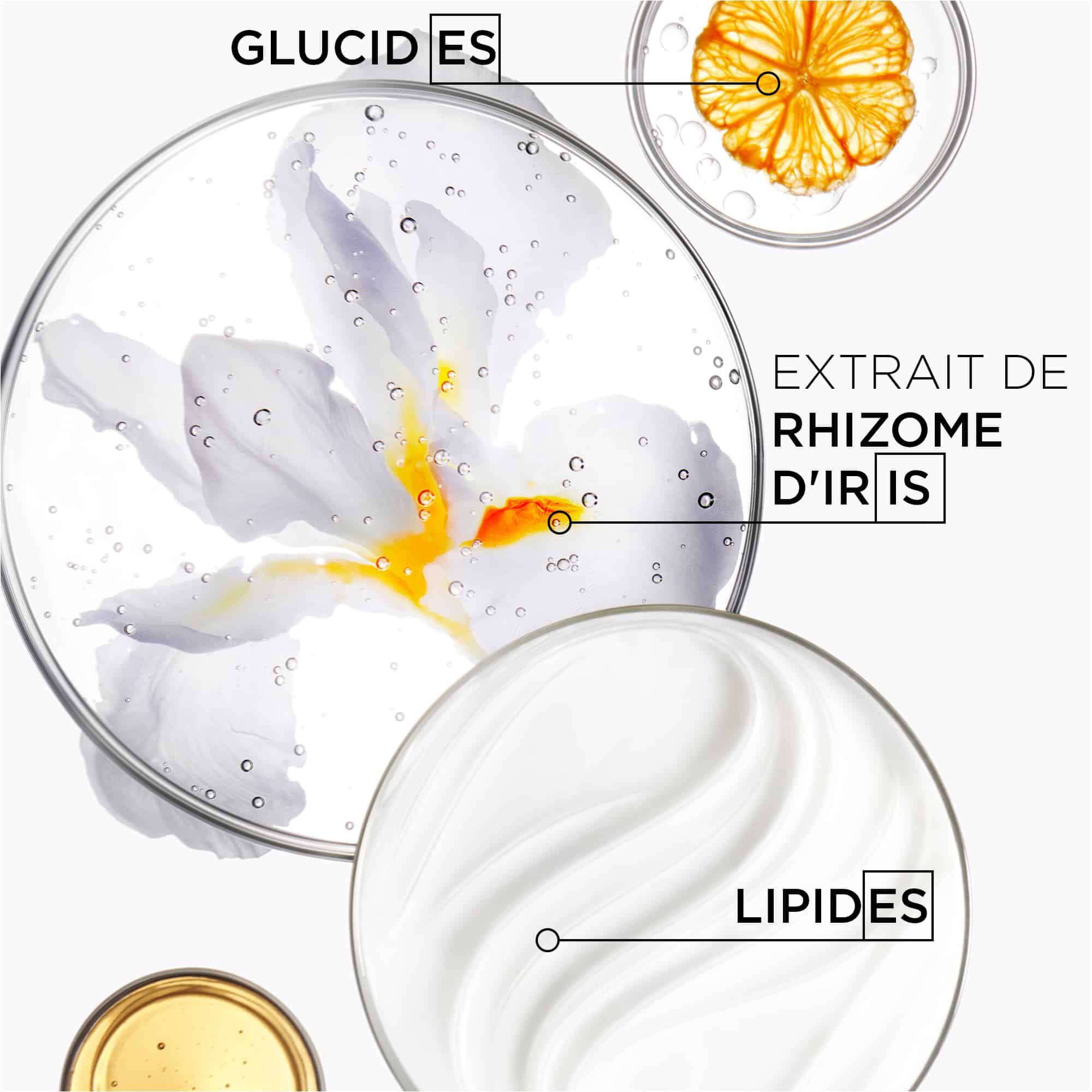 Kerastase Bain Satin 1 Nutritive Shampoing pour les cheveux secs a normaux ingredients cles