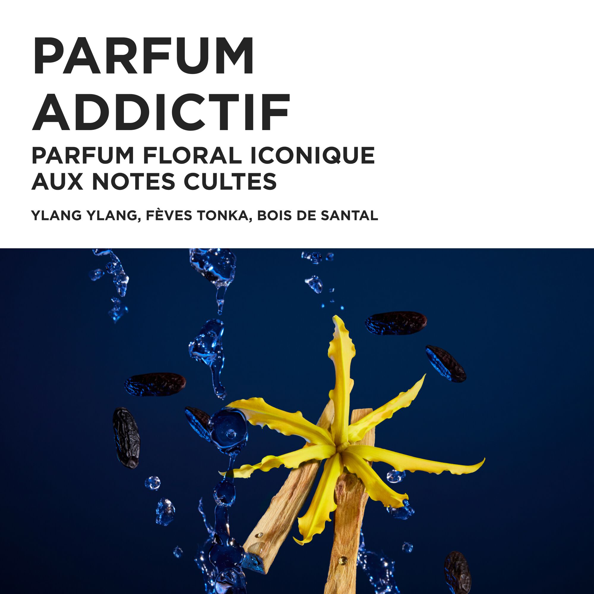 NUTRITIVE TRIO COFFRET PRINTEMPS