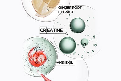 Kérastase Genesis Homme ingredients: creatine, aminexil and ginger root extract Kérastase Genesis Homme ingredients: creatine, aminexil and ginger root extract