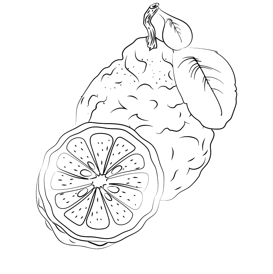 BERGAMOT